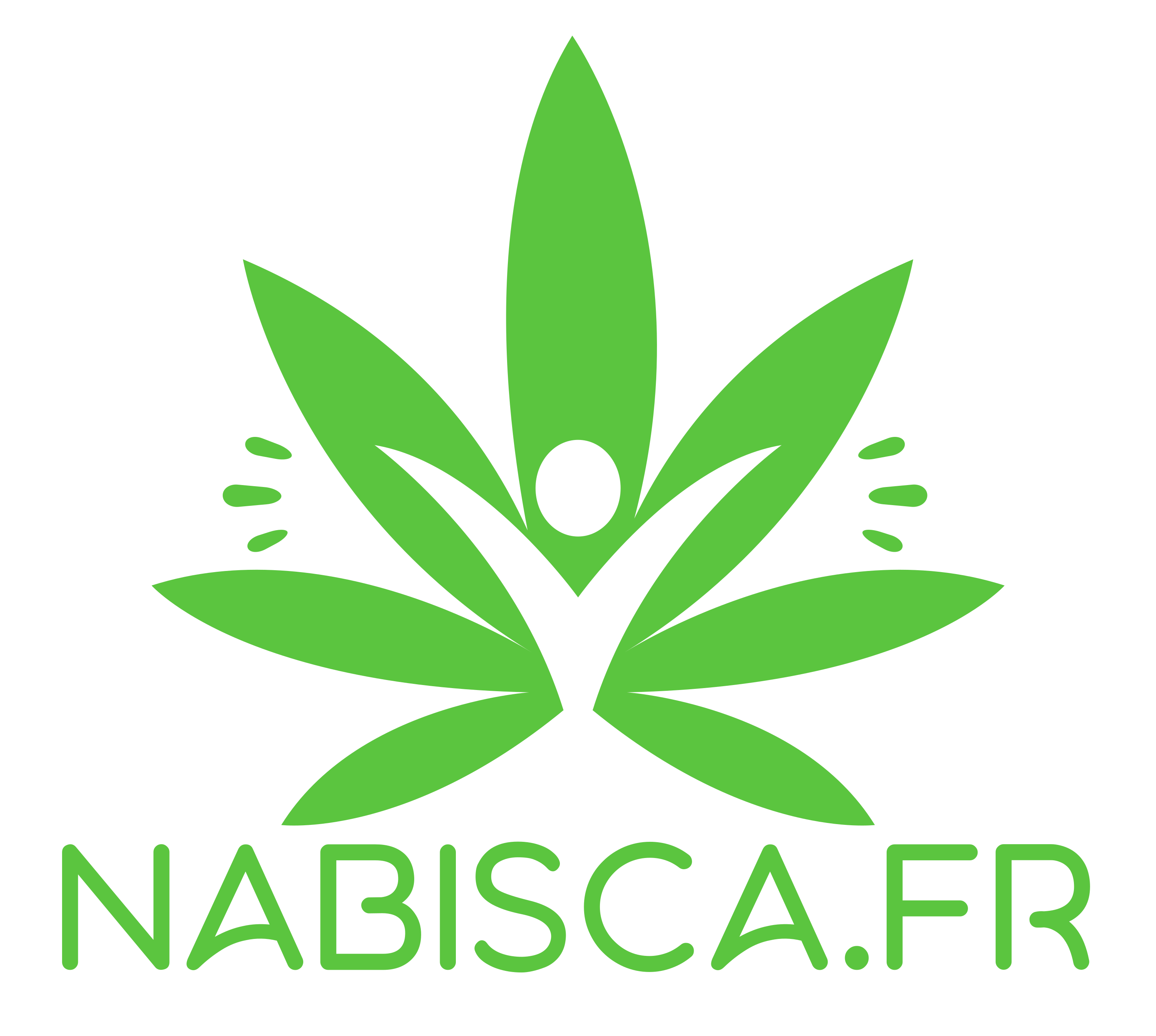 nabisca.fr